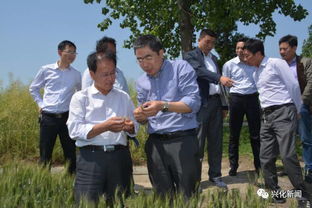 支招 省農科院專家送科技到田頭