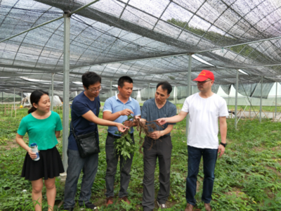 江西省教育廳 12月 洪森榮