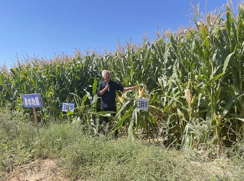 縣發改科技局開展農業科技試驗示范成果觀摩暨特派員交流學習現場會