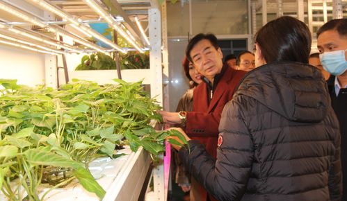政府 旅游 慈善多位行業(yè)領(lǐng)導蒞臨上蔬源參觀考察