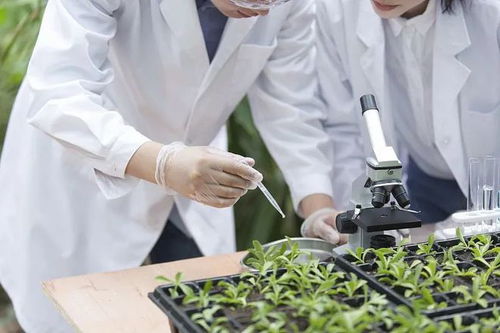 農業農村技術人才庫 實現 人盡其才,才盡其用 的路徑