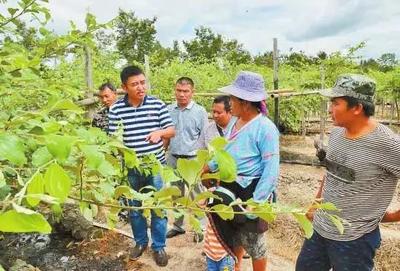 農(nóng)民豐收節(jié)楊凌分會場這些做法成效獲點(diǎn)贊