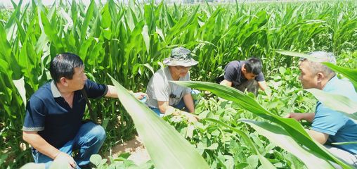 銀川市農(nóng)業(yè)農(nóng)村系統(tǒng)深入田間地頭宣講黨代會精神