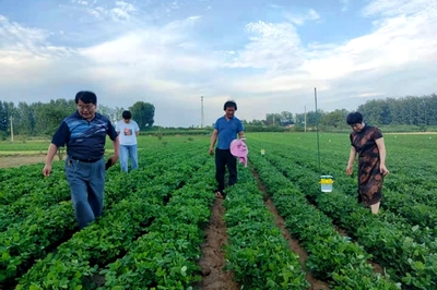 學(xué)黨史辦實事!河南桐柏縣將農(nóng)業(yè)科技送到田間地頭