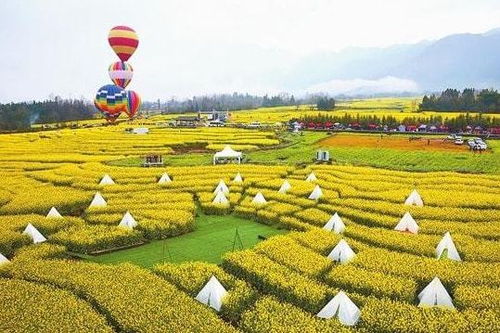 政策 國家發力農業服務創新 溫氏 樓房養豬仍處于試驗階段