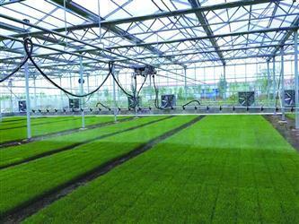 從幾戶農(nóng)民幾臺農(nóng)機合伙替他人翻地播種,到建育苗基地為水稻種植戶提供秧苗,再到自己租地種地-- 承接土地流轉(zhuǎn) 農(nóng)機合作社做大了__中國青年網(wǎng)