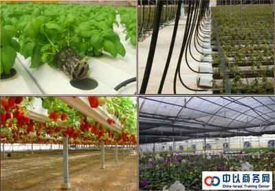 以色列DAGAN(達岡)農(nóng)業(yè)公司