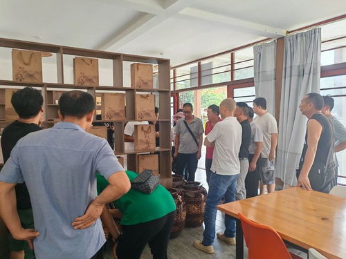 德宏州茶技站開展茶葉科技培訓，助力農業科技服務